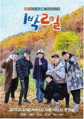沉默的真相 免费
